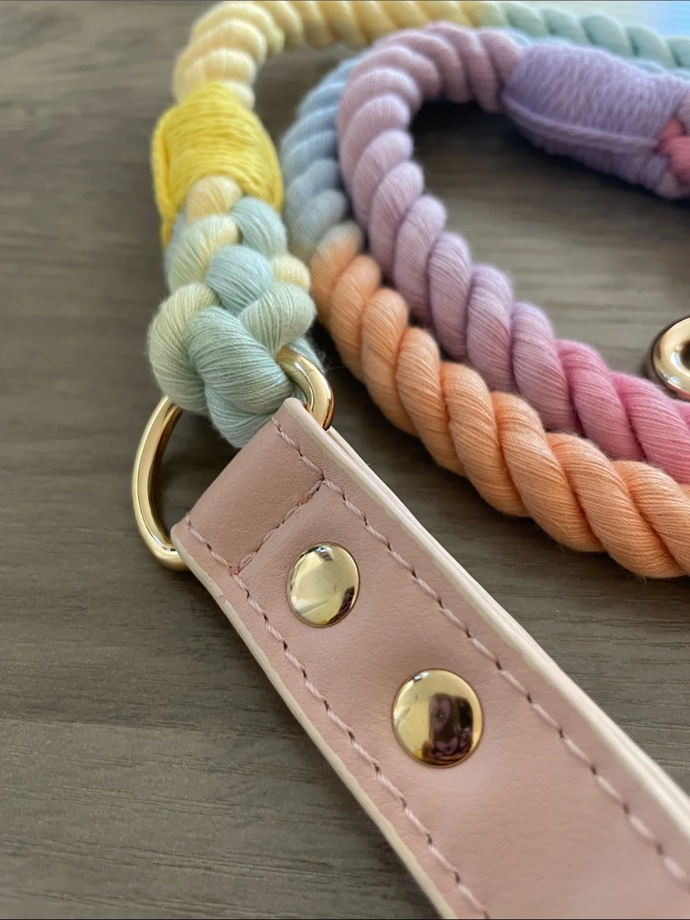 Pastel Rainbow Rope Dog Leash with Gold Hardware